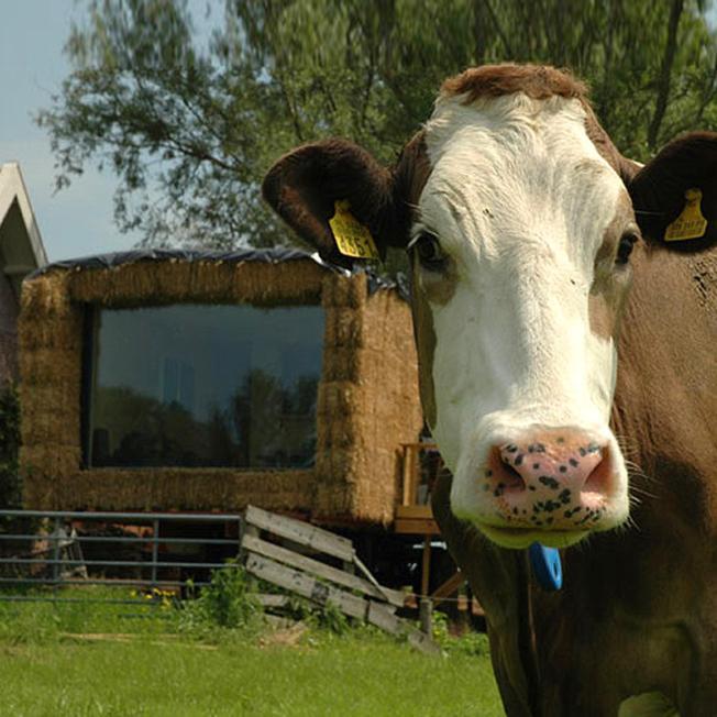 Gastopstal Wyns Luaran gambar